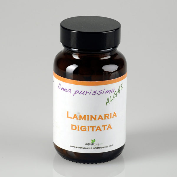 Alga Laminaria