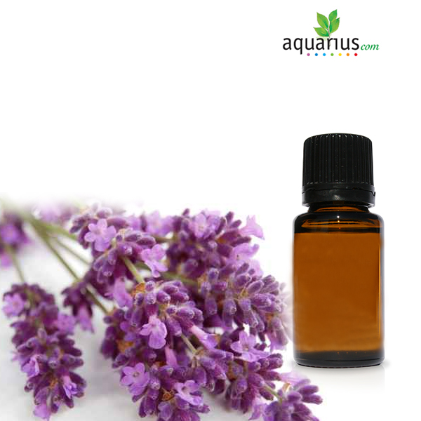 oli essenziali: lavanda