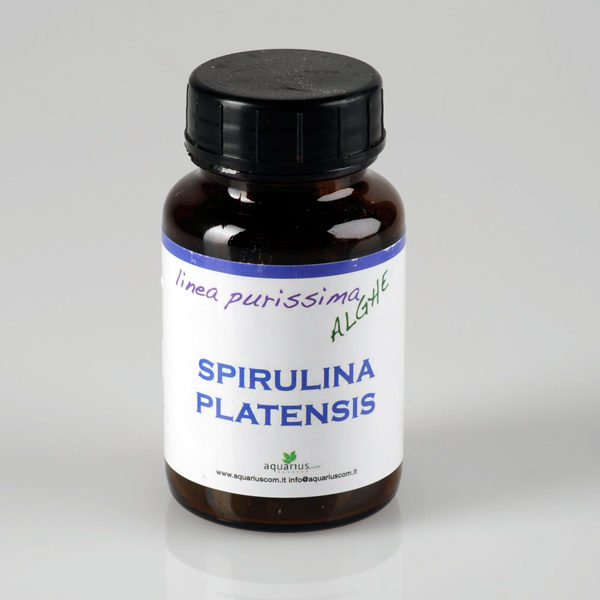 Spirulina platensis